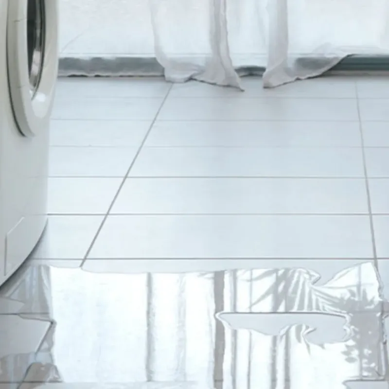 Appliance Leak Cleanup in Eau Claire, WI