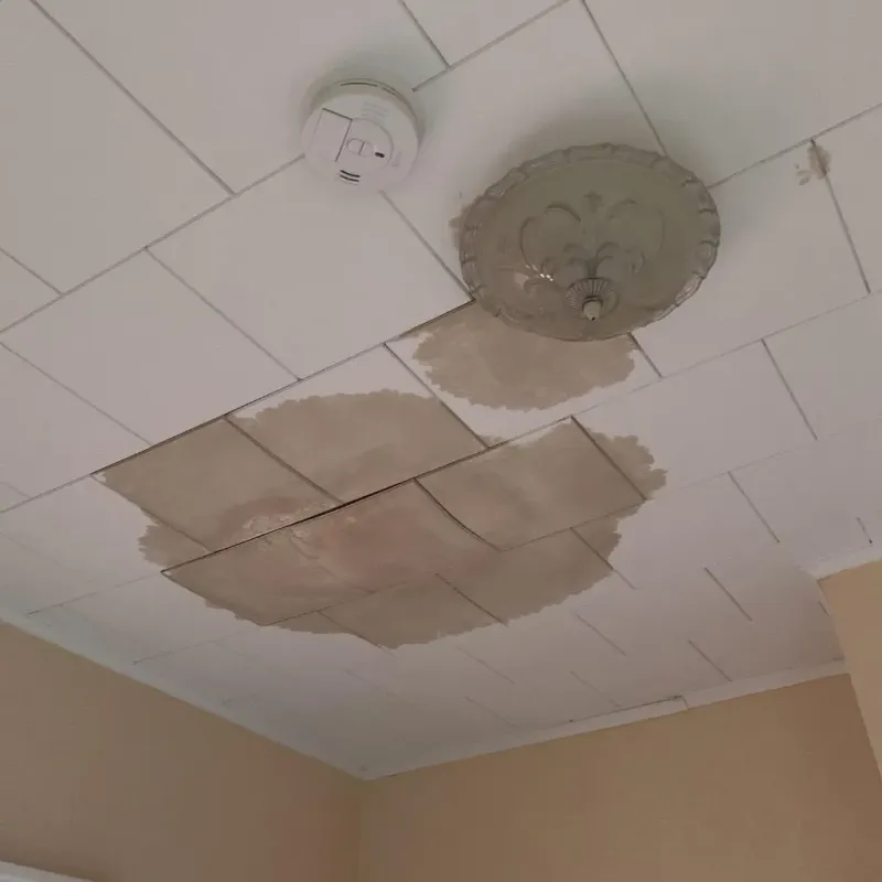 Ceiling Water Damage Repair in Eau Claire, WI