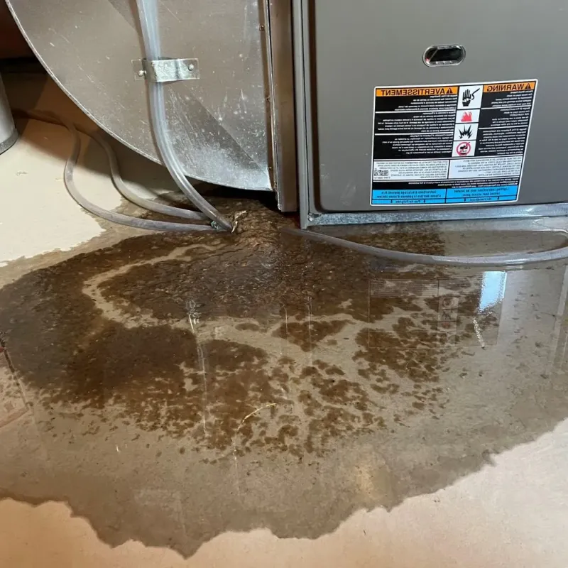 Pipe Burst and Leak Restoration in Eau Claire, WI