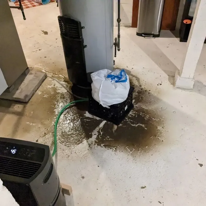 Sewage Backup Cleanup Service in Eau Claire, WI